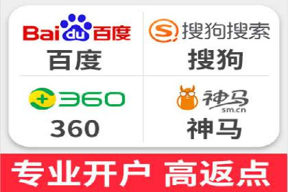 大型SEM服务公司案例分析